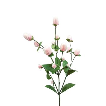 Ramo decorativo di amaranto THUSNELDA, rosa-bianco, 70 cm