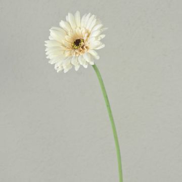 Fiore artificiale Gerbera TEUDELINDE, bianco-crema, 55 cm, Ø 8 cm