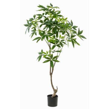 Albero artificiale di pachira CANTSA, tronco artificiale, 150 cm