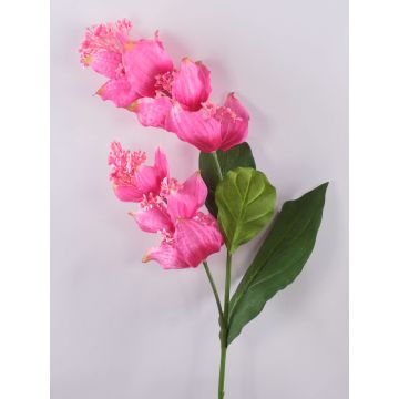 Ramo di fiori artificiali Medinilla LASENTER, rosa, 110cm