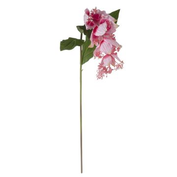 Ramo di fiori artificiali Medinilla LASENTER, rosa, 110 cm