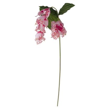 Ramo di fiori artificiali Medinilla LASENTER, rosa, 140 cm