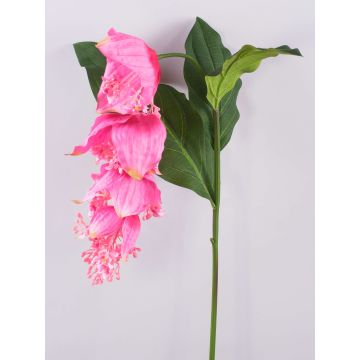 Ramo di fiori artificiali Medinilla LASENTER, rosa, 140cm