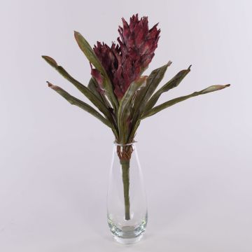 Guzmania bromelia artificiale WALFRIEDE su stelo, rosso bordeaux, 50cm