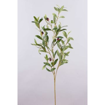 Ramo di ulivo ROVUMA con frutti, verde, 95 cm