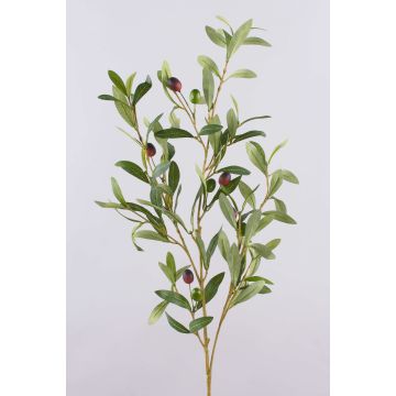 Ramo di ulivo ROVUMA con frutti, verde, 95cm Ramo di ulivo ROVUMA con frutti, verde, 95cm
