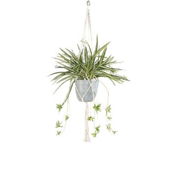 Pianta decorativa di spathiphyllum in macramè, sospesa SIMBO in vaso verde-bianco, 90 cm