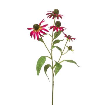 Ramo decorativo echinacea MILROV, rosa, 75 cm