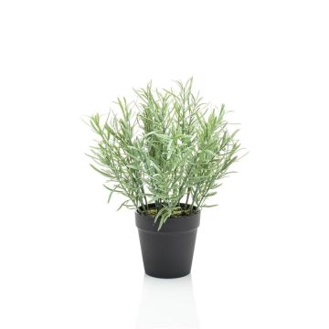 Erbe aromatiche artificiali rosmarino WHOOPI in vaso decorativo, verde, 25 cm