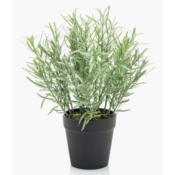 Erbe aromatiche artificiali rosmarino WHOOPI in vaso decorativo, verde, 25 cm