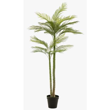 Palma artificiale grande palma fenice MIRCA, vaso decorativo, 225 cm Palma artificiale grande palma fenice MIRCA, vaso decorativo, 225 cm
