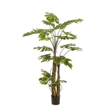 Pianta artificiale Philodendron monstera deliciosa KORVEX, radici aeree, 180 cm