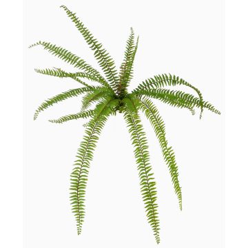 Pianta artificiale felce aquilina NAKRIZ su bastone, verde, 105cm Pianta artificiale felce aquilina NAKRIZ su bastone, verde, 105cm