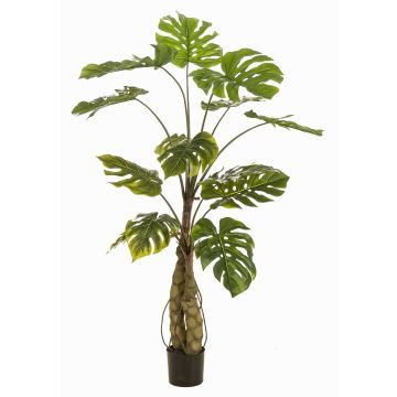 Pianta artificiale Philodendron monstera deliciosa KORVEX, radici aeree, 150cm Pianta artificiale Philodendron monstera deliciosa KORVEX, radici aeree, 150cm