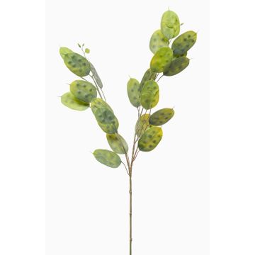 Ramo artificiale Lunaria JUDITHA, verde, 70 cm Ramo artificiale Lunaria JUDITHA, verde, 70 cm