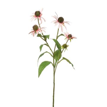 Ramo decorativo Echinacea MILROV, rosa chiaro, 75 cm
