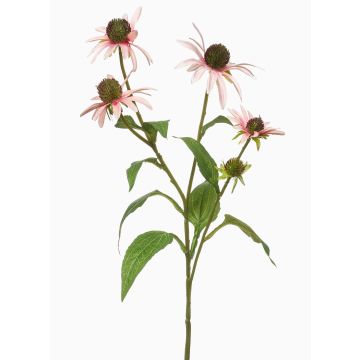 Ramo decorativo Echinacea MILROV, rosa chiaro, 75 cm Ramo decorativo Echinacea MILROV, rosa chiaro, 75 cm