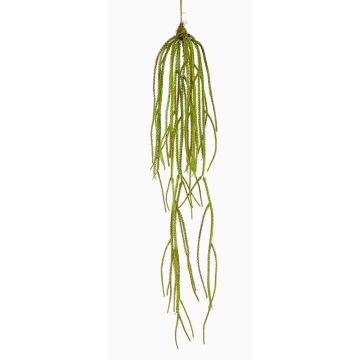Pianta artificiale pendente muschio serpente TAMON, verde, 90cm