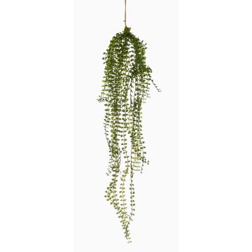 Pianta artificiale pendente Ficus pumila TAMON, verde, 90cm