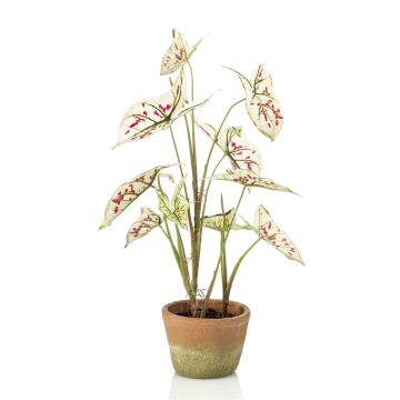 Pianta artificiale Syngonium YOMREL in vaso terracotta, crema-rosso, 60 cm