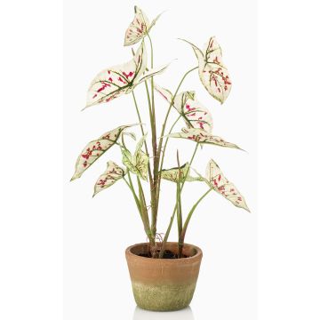 Pianta artificiale Syngonium YOMREL in vaso terracotta, crema-rosso, 60 cm