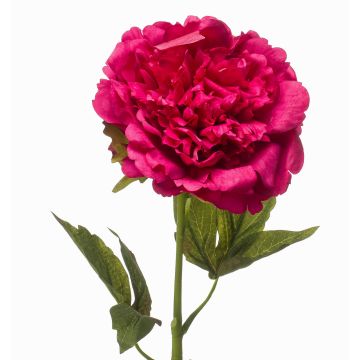 Peonia artificiale GAVRON, rosa scuro, 55 cm Peonia artificiale GAVRON, rosa scuro, 55 cm