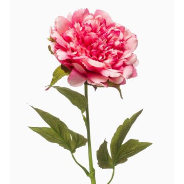 Peonia artificiale GAVRON, rosa, 55 cm