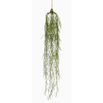 Pianta artificiale succulenta Rhipsalis TAMON, verde, 90cm Pianta artificiale succulenta Rhipsalis TAMON, verde, 90cm