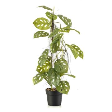 Pianta artificiale Philodendron monstera adansonii BRINOL, vaso decorativo, radici aeree, 80 cm