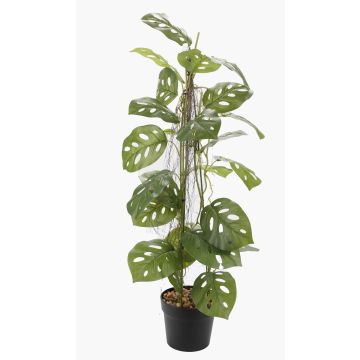 Pianta artificiale Philodendron monstera adansonii BRINOL, vaso decorativo, radici aeree, 80 cm