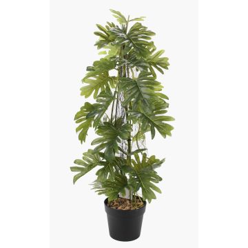 Pianta artificiale Philodendron selloum FLENTO, vaso decorativo, radici aeree, 80 cm