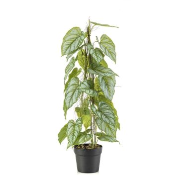 Pianta artificiale Fiore fenicottero RIFLEM, vaso decorativo, radici aeree, verde, 80 cm