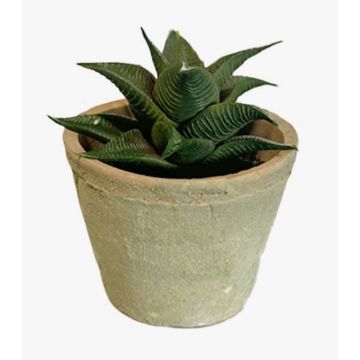 Pianta succulenta artificiale Haworthia limifolia GLOFER in vaso terracotta, verde scuro, 13 cm