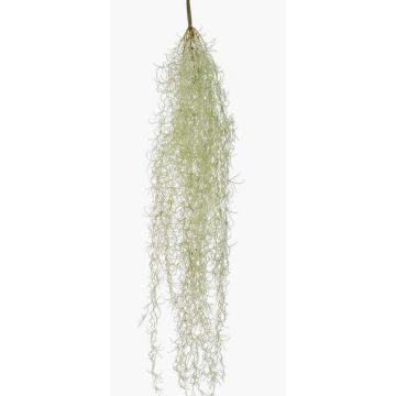 Pianta succulenta artificiale Tillandsia usneoides BRAVIK, bastone, difficilmente infiammabile, grigio, 85 cm