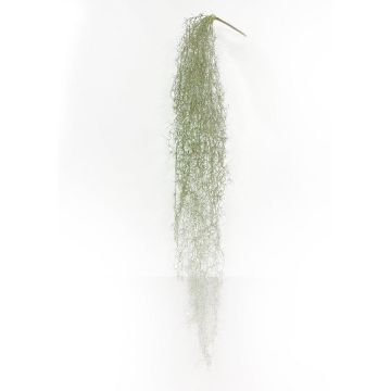 Pianta succulenta artificiale Tillandsia usneoides BRAVIK, bastoncino, difficilmente infiammabile, grigio, 150 cm