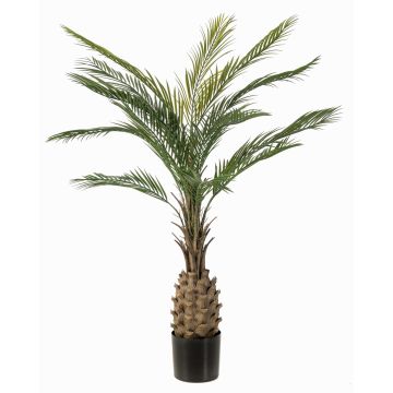 Palma artificiale Palma da dattero ZOLTAR, crossdoor, 150 cm