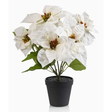 Stella di Natale artificiale GRULEN in vaso decorativo, color crema, 40 cm