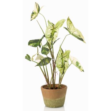 Pianta artificiale Syngonium YOMREL in vaso terracotta, verde-bianco, 60 cm