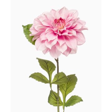 Fiore artificiale dalia REFOLG, rosa, 70 cm