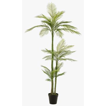 Palma artificiale grande palma fenice MIRCA, vaso decorativo, 245 cm Palma artificiale grande palma fenice MIRCA, vaso decorativo, 245 cm