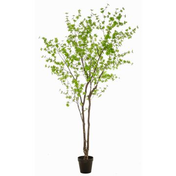 Albero artificiale nasturzio NEVKAR in vaso decorativo, tronchi artificiali, verde, 300 cm Albero artificiale nasturzio NEVKAR in vaso decorativo, tronchi artificiali, verde, 300 cm