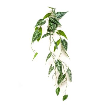 Piante artificiali Alocasia sanderiana EXEVLO su bastone, pendente, verde, 80 cm