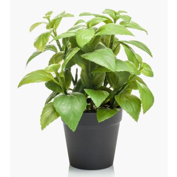 Erbe aromatiche artificiali Basilico WHOOPI in vaso decorativo, verde, 23 cm