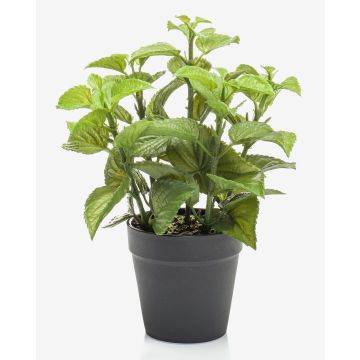 Erbe aromatiche artificiali menta WHOOPI in vaso decorativo, verde, 23 cm