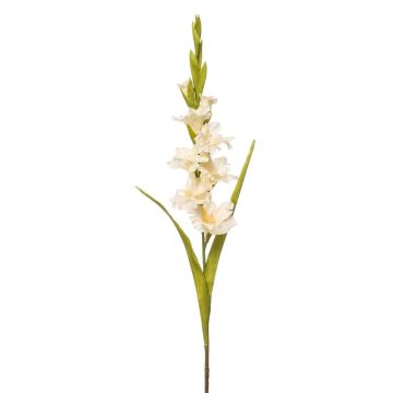 Fiore artificiale gladiolo NOVNIF, crema, 95 cm