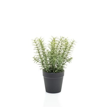 Erbe aromatiche artificiali timo WHOOPI in vaso decorativo, verde, 22 cm