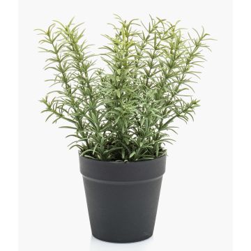 Erbe aromatiche artificiali timo WHOOPI in vaso decorativo, verde, 22 cm