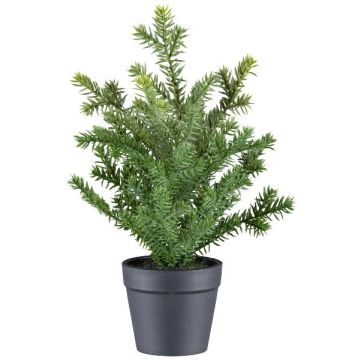 Pianta artificiale tasso KRUHER, vaso decorativo, verde, 28 cm