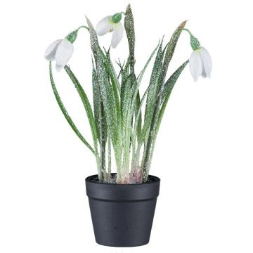 Fiore decorativo bucaneve WASFA in vaso decorativo, innevato, bianco, 20 cm