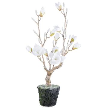 Albero decorativo magnolia NANDAL, globo, fiori, tronco artificiale, congelato, bianco, 75 cm